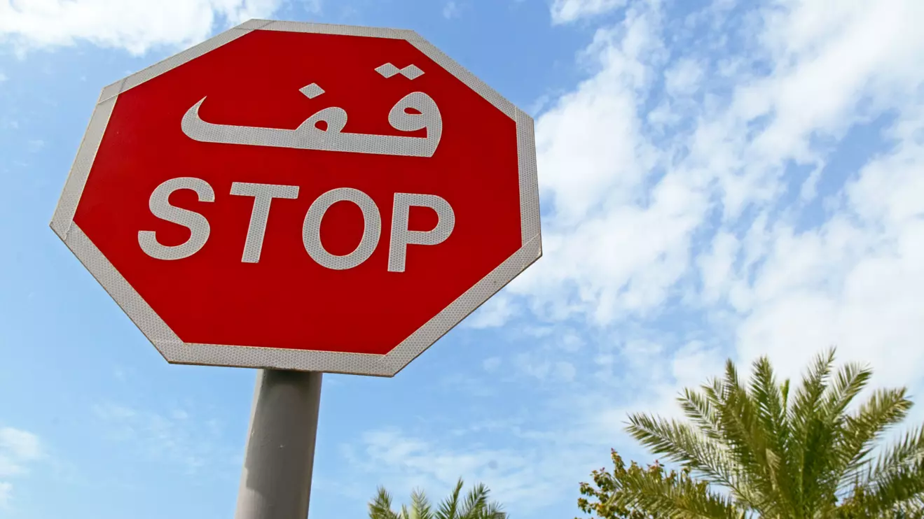 Egypt blocks pro-Palestinian convoy en route to Gaza