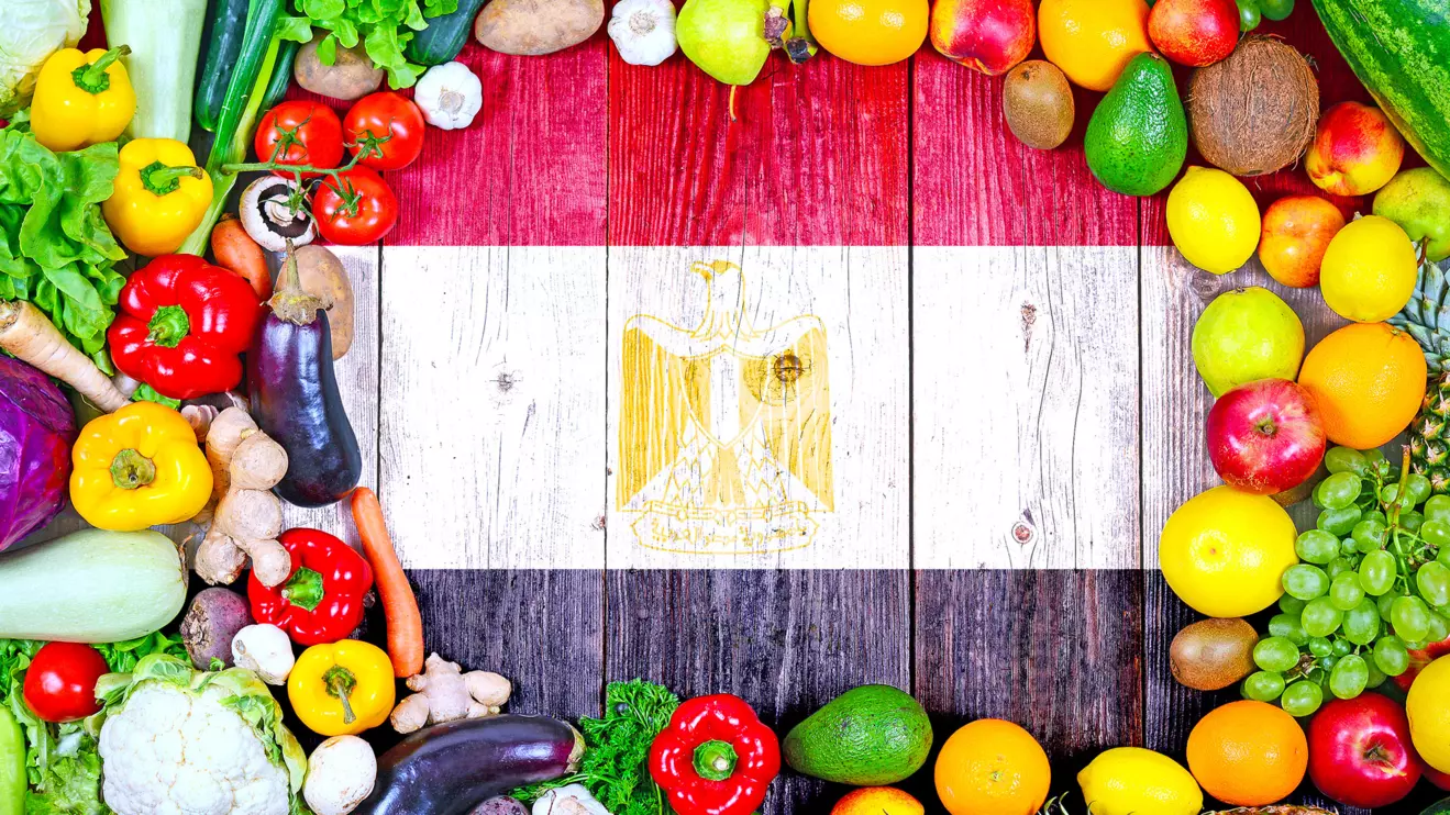 The food industry's performance highlights its increasing significance as a cornerstone of Egypt's economy © Mena Today 