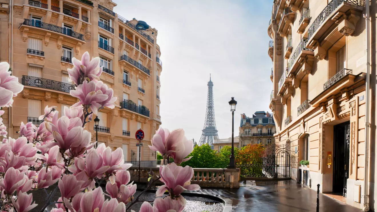 Paris, France © Mena Today 