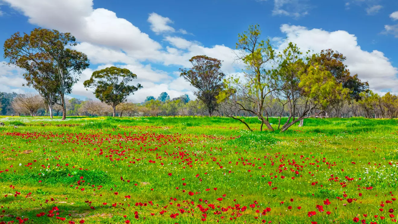 Be'eri, on the border with the Gaza Strip © Mena Today 