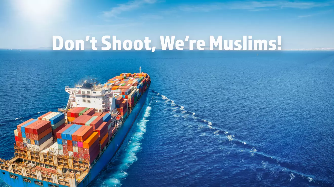 The Red Sea is a critical waterway for oil and commodities but traffic has dropped sharply since Houthi attacks off Yemen's coast began in November 2023 © Mena Today 