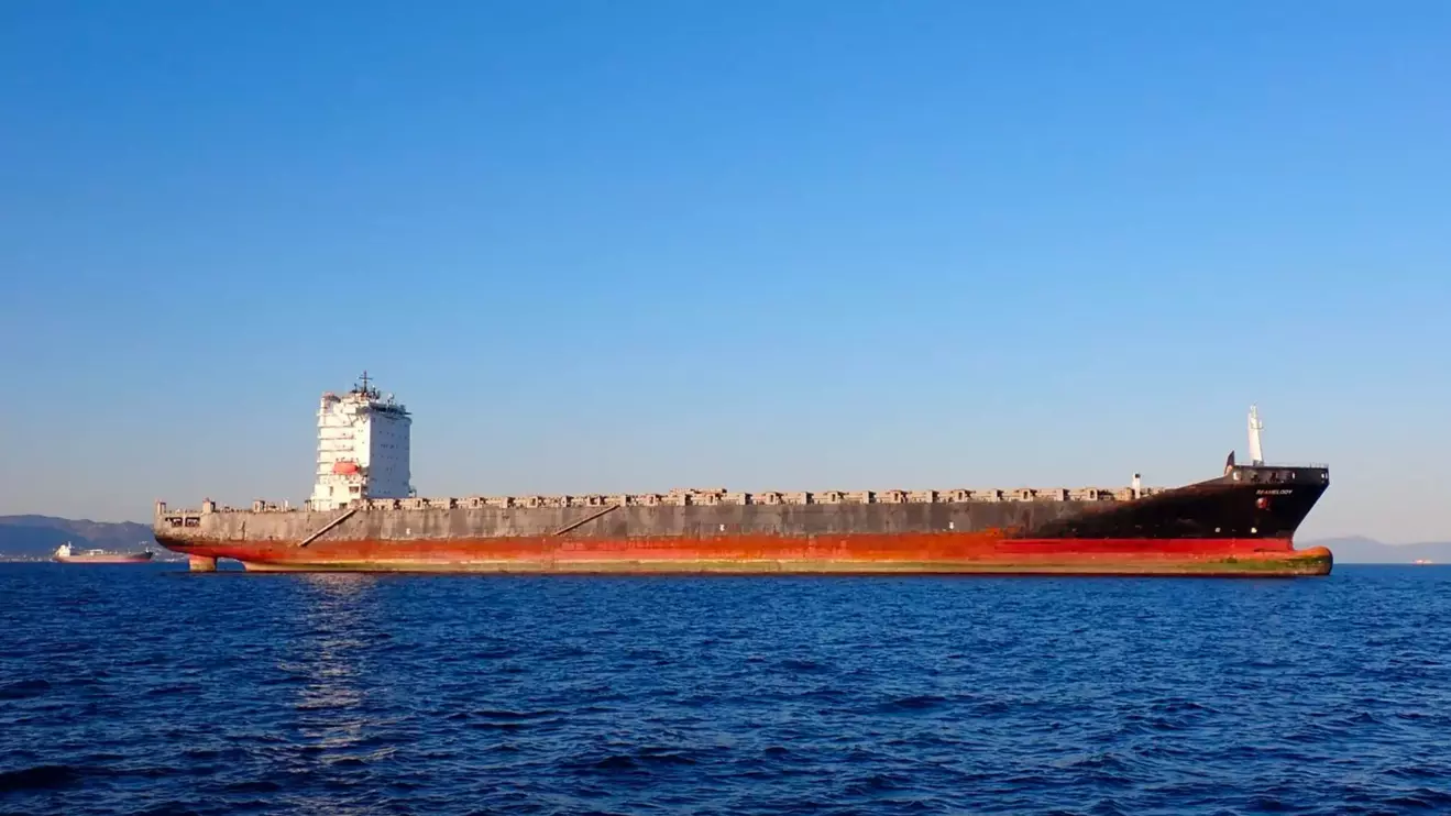 The Pinocchio is a Liberian-flagged container ship © Marine Traffic 