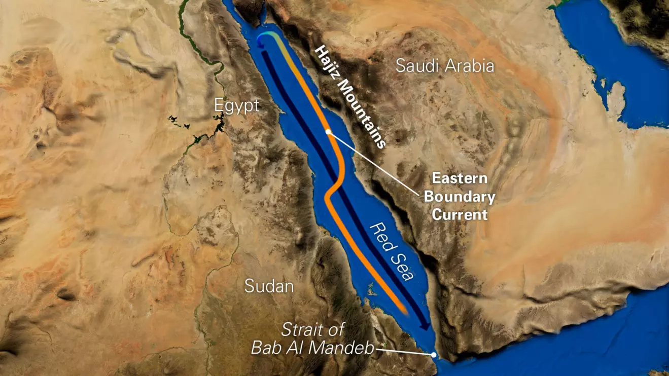 The Iran-aligned Yemeni Houthis have carried out repeated drone and missile strikes since November in the Red Sea and Bab al-Mandab Strait © Oceanus 