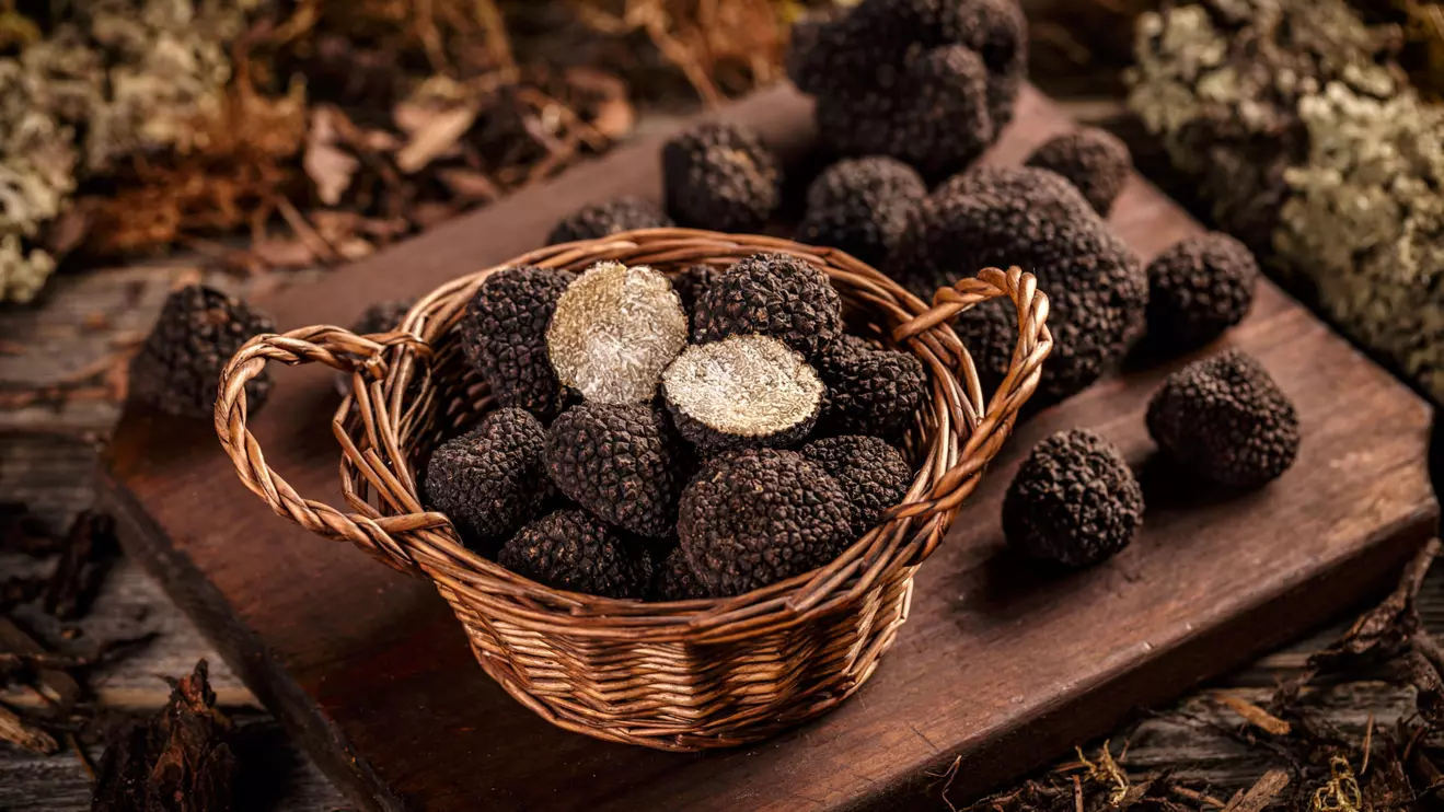 The Syrian desert is known for producing some of the world's best truffles © Mena Today 