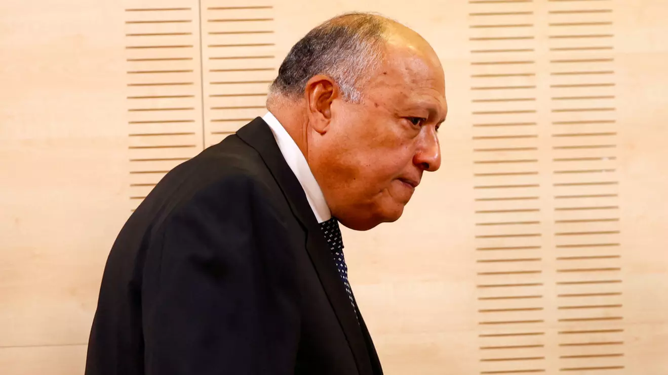Egyptian Foreign Minister Sameh Shoukry, Reuters/Susana Ver