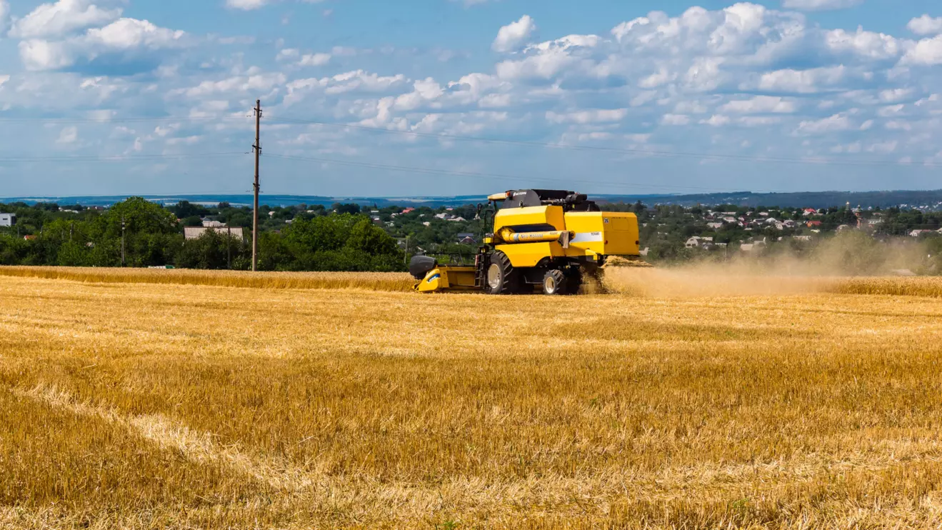 Kyiv has repeatedly protested Russian exports of grain from eastern Ukrainian regions occupied since Moscow's 2022 full-scale invasion and from Crimea, annexed by Russia in 2014 © Mena Today 