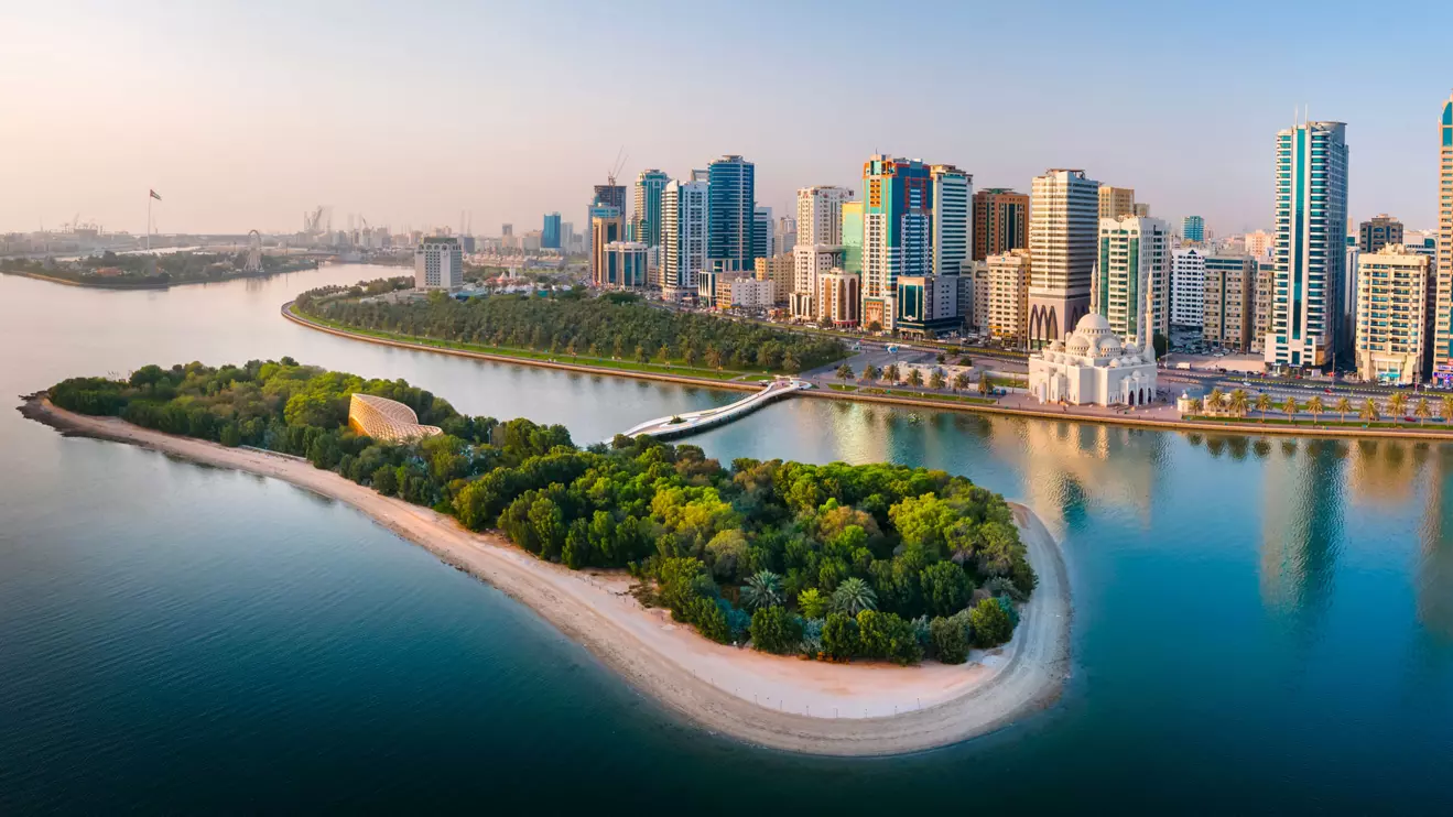 A total of 24,238 sales transactions were recorded across 239 areas © Mena Today 