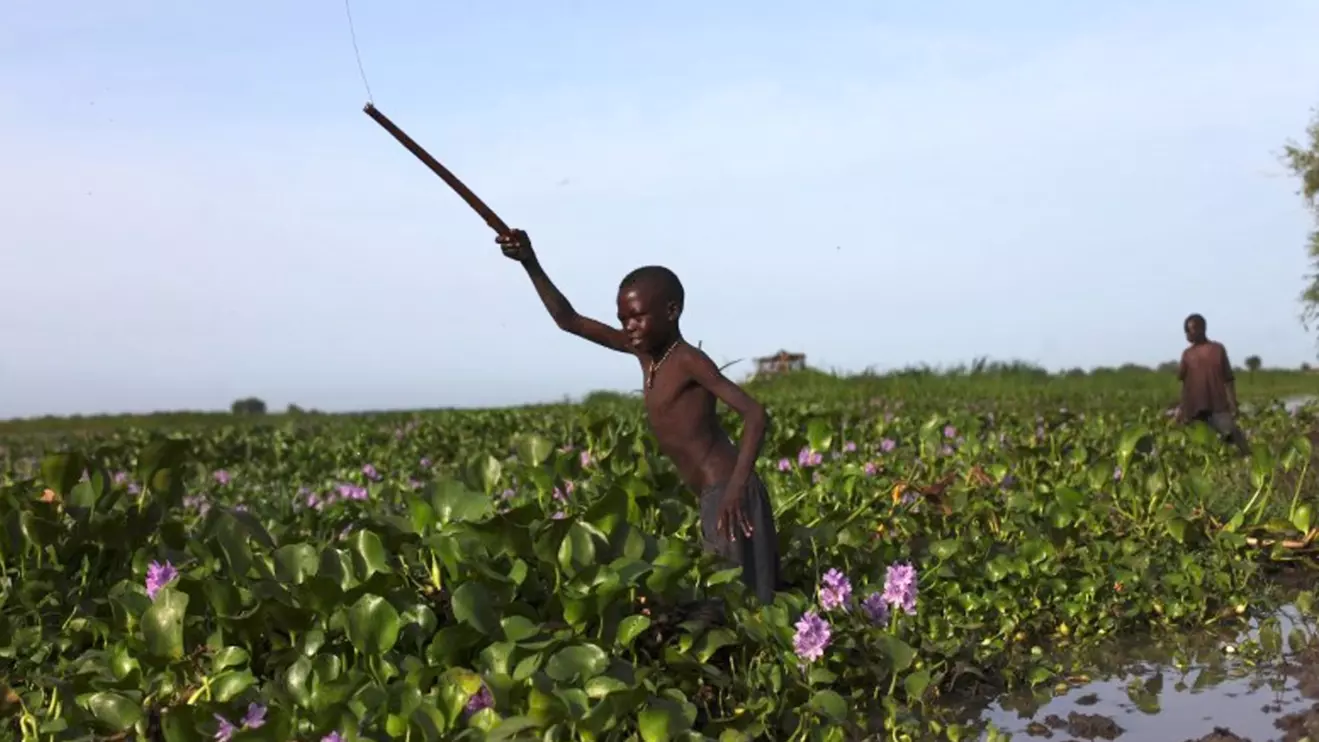 A Sudanese boy, a refugee who is displaced by the war in the Nuba Mountains in Sudan, tries to catch fish in the Nile in Golo, Fashoda county in the Upper Nile State May 29, 2014. Reuters/Andreea Campeanu