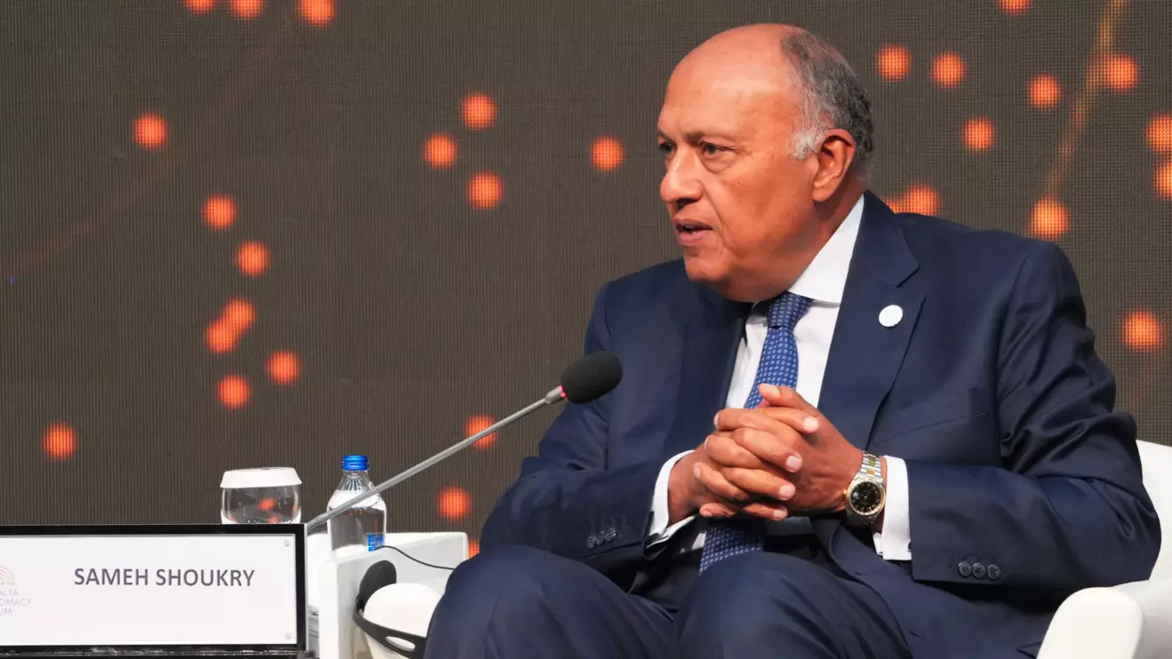 Egyptian Foreign Minister Sameh Shoukry © ADF