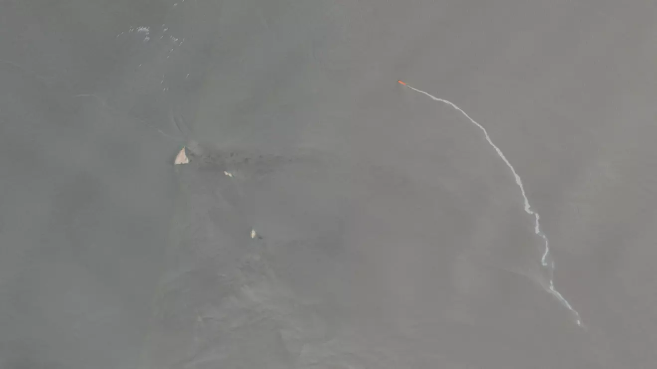A satellite image shows a white streak trailing from a vessel identified by TankerTrackers.com as the M.V. Barakah, in the Strait of Hormuz, near Musandam Province, Oman, May 9, 2026. European Union/Copernicus Sentinel-2/Handout via Reuters