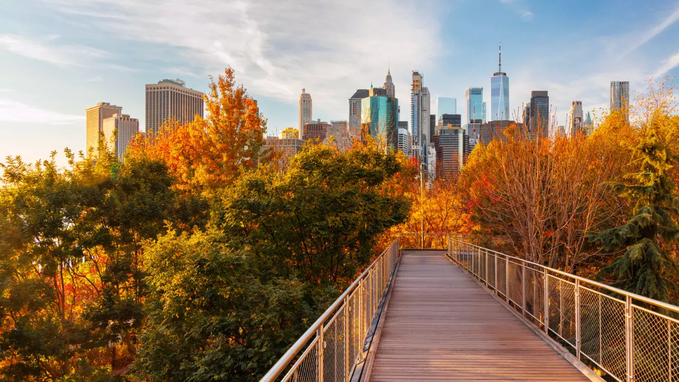 New York City © Mena Today 