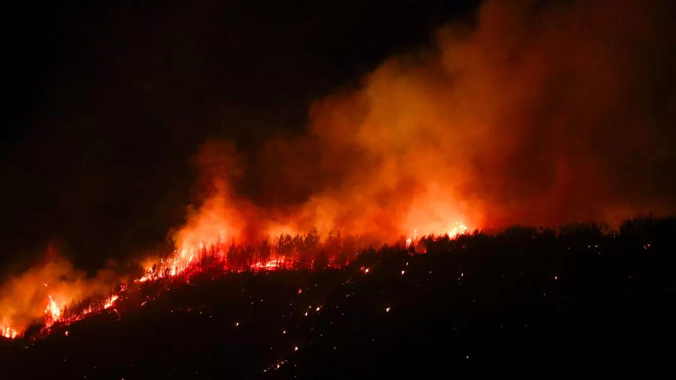 A wildfire burns in the northwestern Canakkale province, Turkey, August 12, 2025. Reuters/Efekan Akyuz TPX