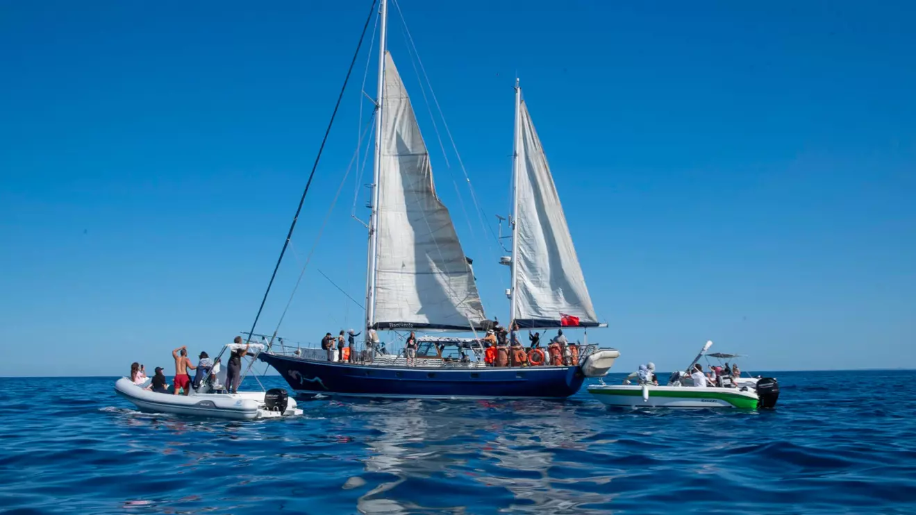 The Madleen, a small sailboat carrying pro-Palestinian activists, en route to Gaza © X