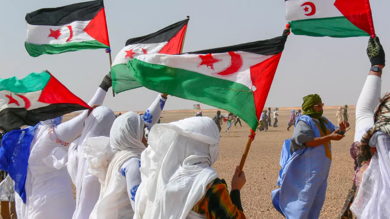 Under Bashar al-Assad, Syria maintained strong diplomatic and military ties with Algeria © Mena Today 
