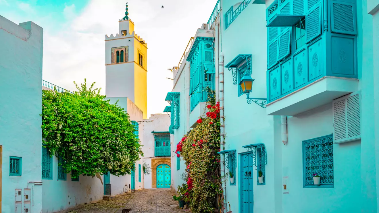 Tunisian prosecutors are pursuing a number of high-profile conspiracy cases involving politicians, journalists and activists. Several opposition leaders have received lengthy prison terms © Mena Today 