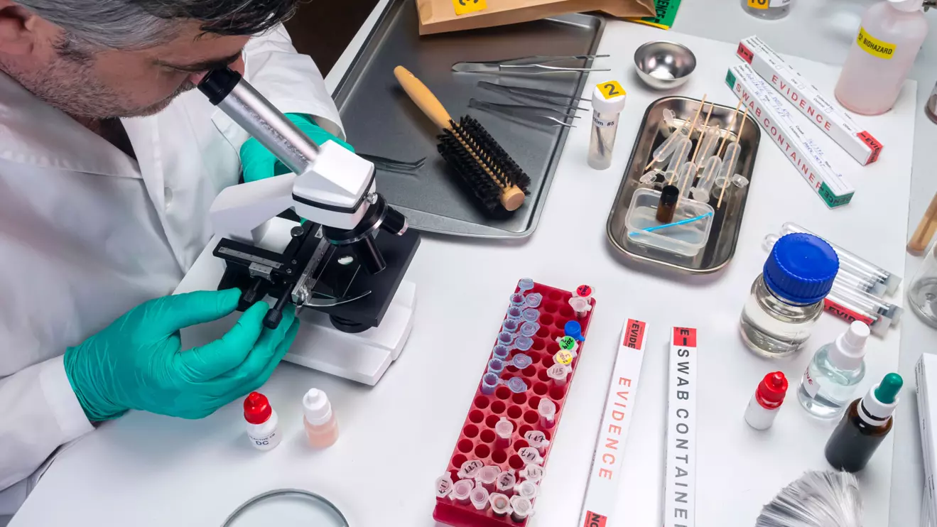 The identification had been made at the National Center for Forensic Medicine © Mena Today 