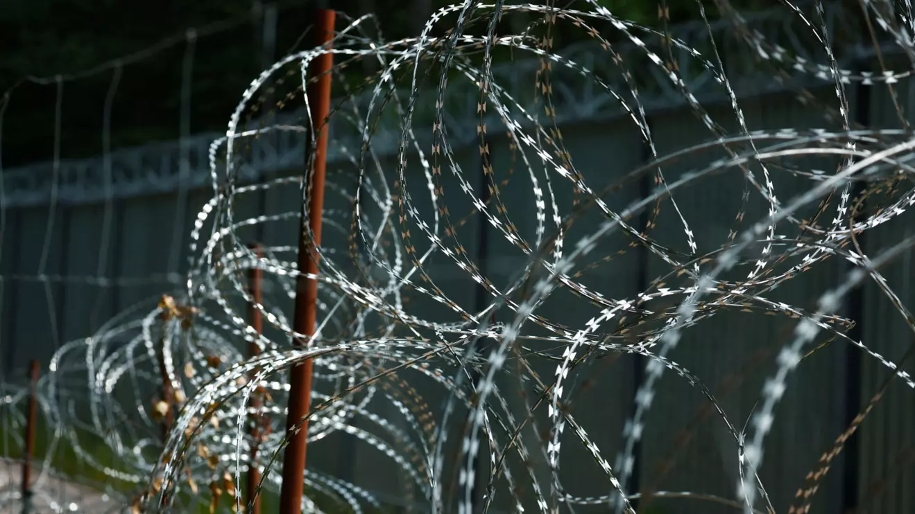 Razor wire is seen near the fence on Belarusian-Polish border in the forest near Bialowieza, Poland, June 4, 2024. Reuters/Kacper Pempel