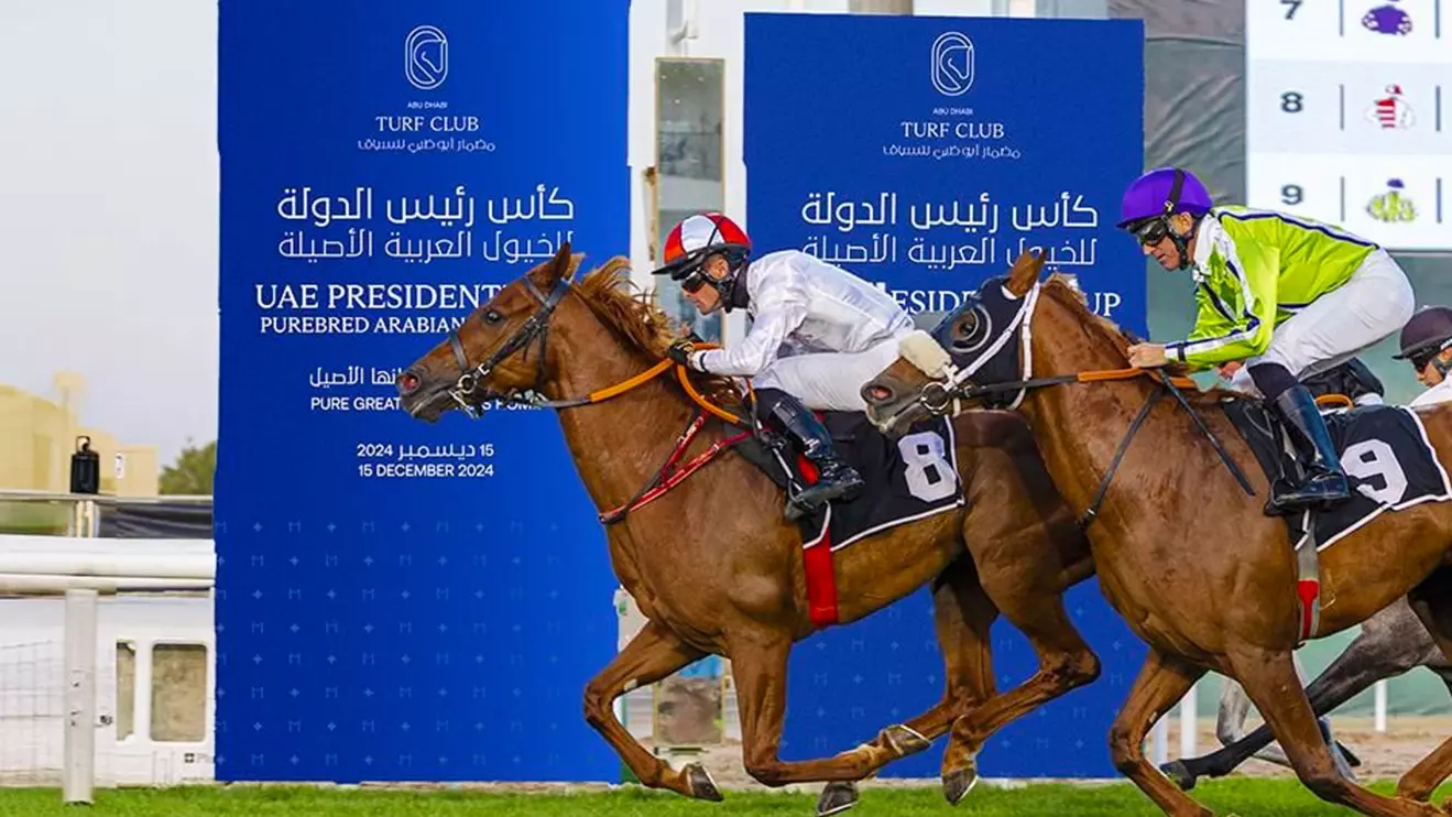 The UAE President Cup continues to be a cornerstone of the Arabian horse racing community © WAM