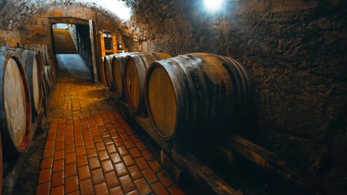 No more missiles, just Merlot © Mena Today 