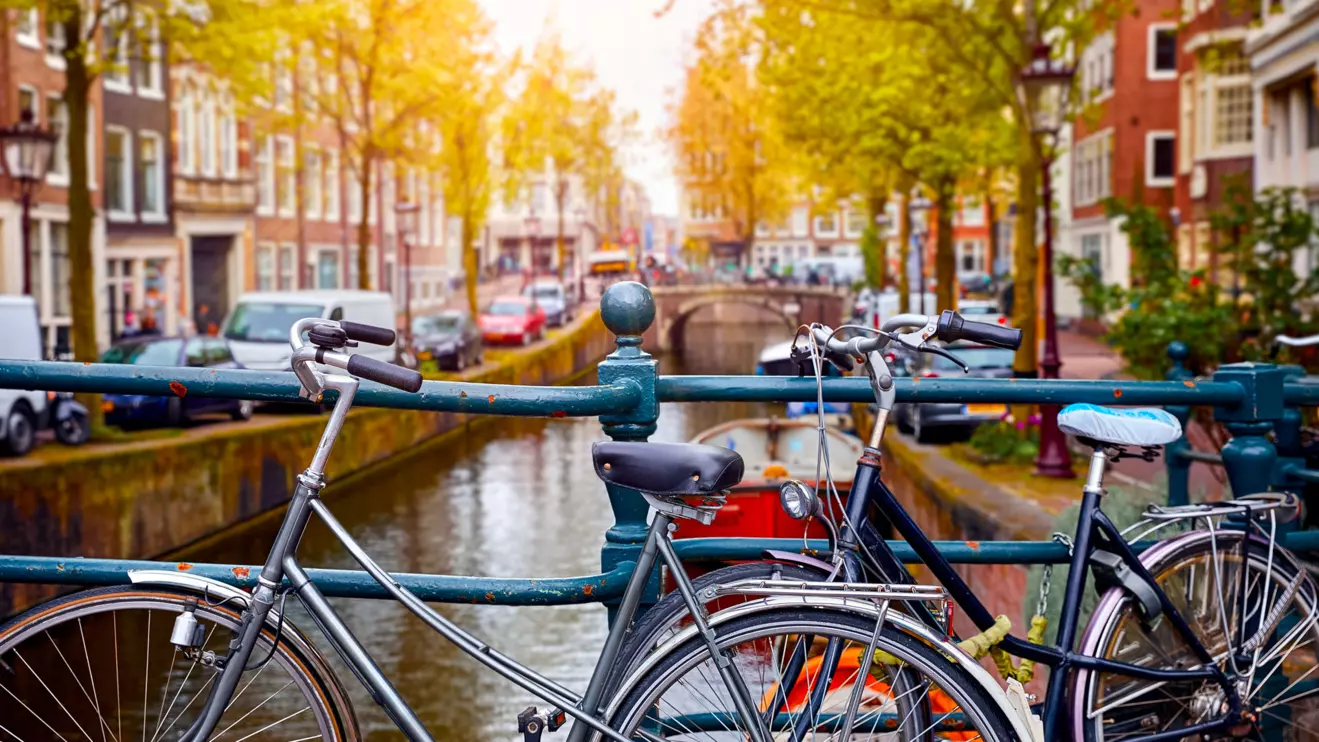 The Netherlands, once a beacon of tolerance and integration, is grappling with the challenges posed by uncontrolled immigration, particularly from countries like Algeria and Morocco © Mena Today 