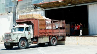 UN warns funding gap threatens vital food assistance in Syria