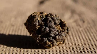 Libyan forces intercept hashish shipment