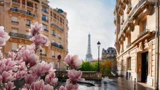 Paris draws red line on Iran sanctions