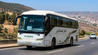 Algeria bus disaster leaves 25 dead