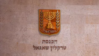 Limited powers, unlimited risks: Netanyahu as caretaker