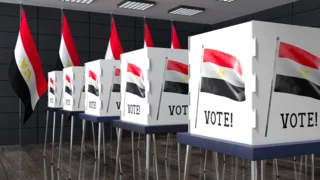 Sisi’s allies dominate Egypt’s upper house campaign