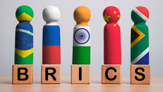 Exclusive-Saudi Arabia still considering BRICS membership