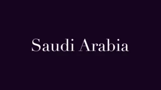 Egypt pledges support to Saudi Arabia