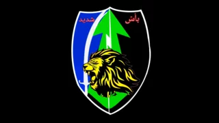 Exclusive-Hezbollah elite fighters return to south Lebanon to fight Israeli troops, Lebanese sources say