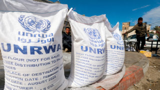 Austria to unblock funds for UN Palestinian relief organisation