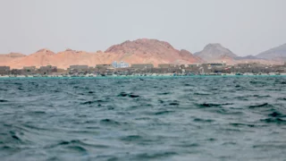 From Zaydi revivalists to regional power: The Houthis' two-decade rise