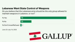 Gallup poll shows strong rejection of armed factions in Lebanon