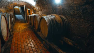 Red wine over red lines? South Lebanon’s tunnels may get a grape makeover