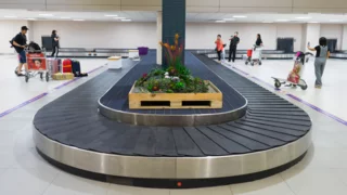 From activism to baggage claim