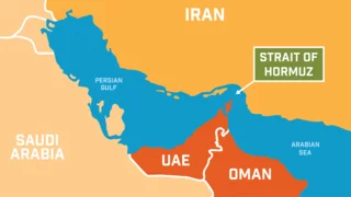 UAE backs international force at Hormuz