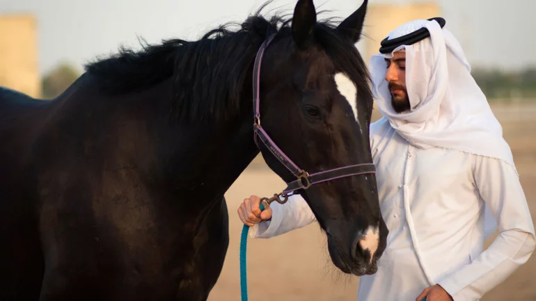 Syrian equestrian qualified for Kalba International Hurdles Championship