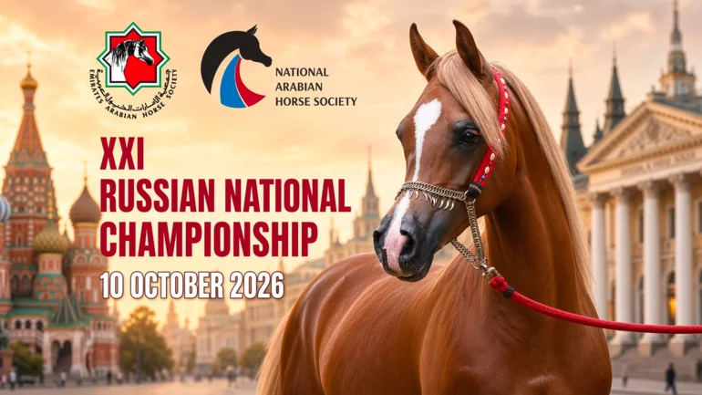 UAE society sponsors Russia's national Arabian horse championship
