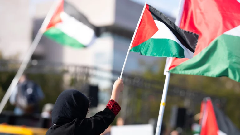 Premature recognition of Palestine undermines peace efforts