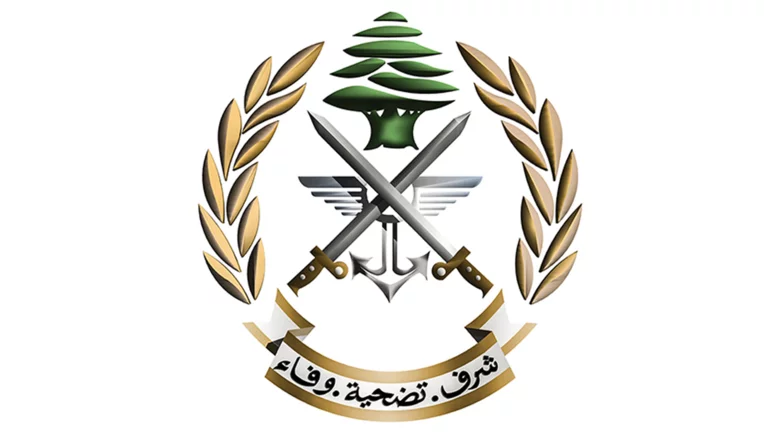 Lebanese army receives released soldier detained by Israel on Sunday, army says