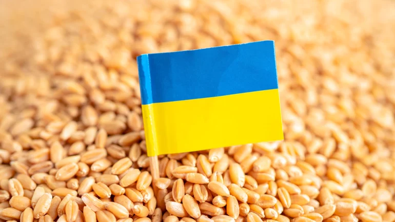 Ukraine summons Israeli Ambassador over alleged Russian stolen grain shipments to Haifa