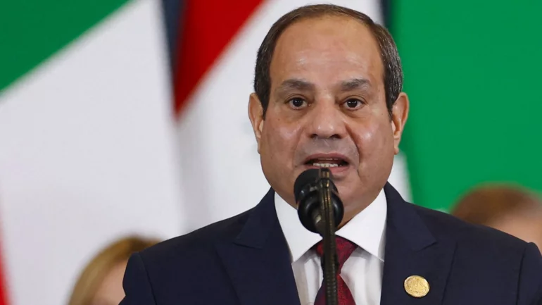Egypt annuls first-round parliament vote in quarter of constituencies over 'violations'