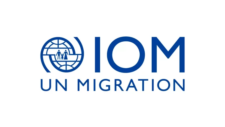 Migrants' bodies in Libya mass graves had gunshot wounds, IOM says
