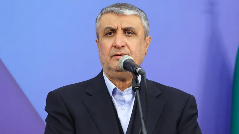 Iran will not impede IAEA access, head of its atomic organisation says