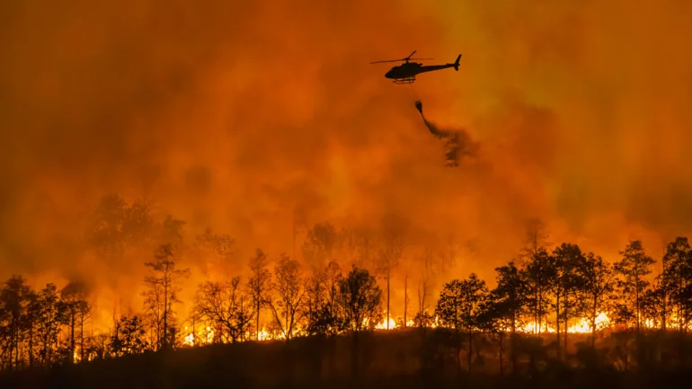 Iran battles fire in UNESCO-listed forest, gets Turkey's help