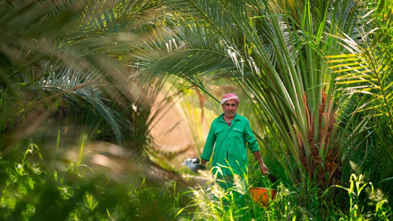 Al Ain to welcome second Emirates Agriculture Conference