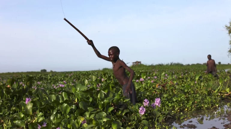 Sudan's SPLM-N rebel group declares famine in its territory